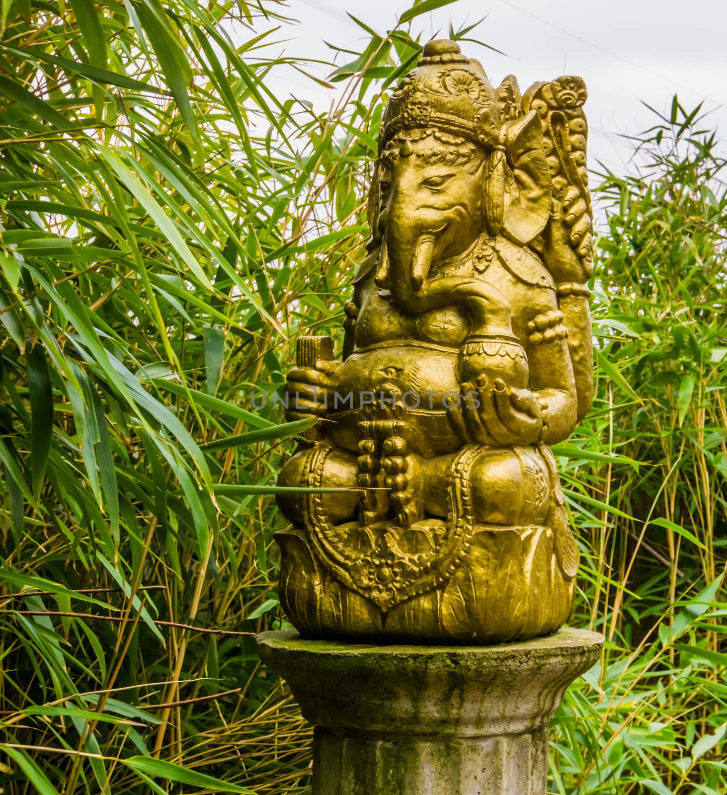 Golden elephant statue, God Ganesha sculpture, spiritual decorations for the garden by charlottebleijenberg