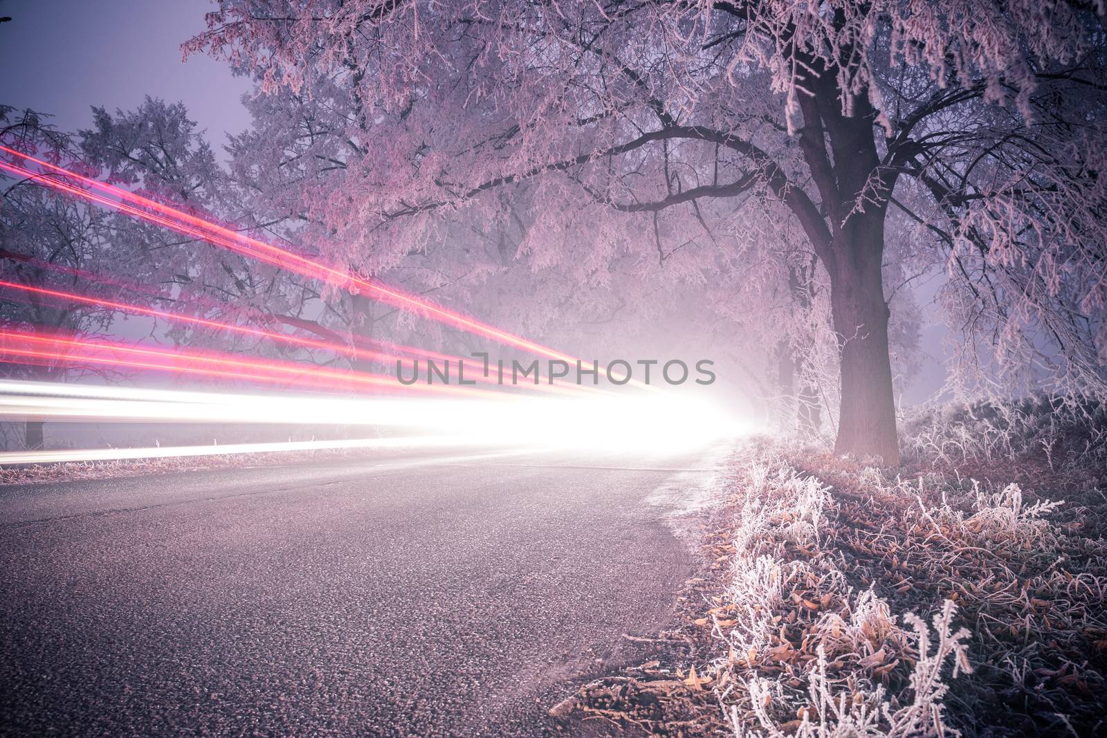 Light trails at night in winter, frozen road in forrest.