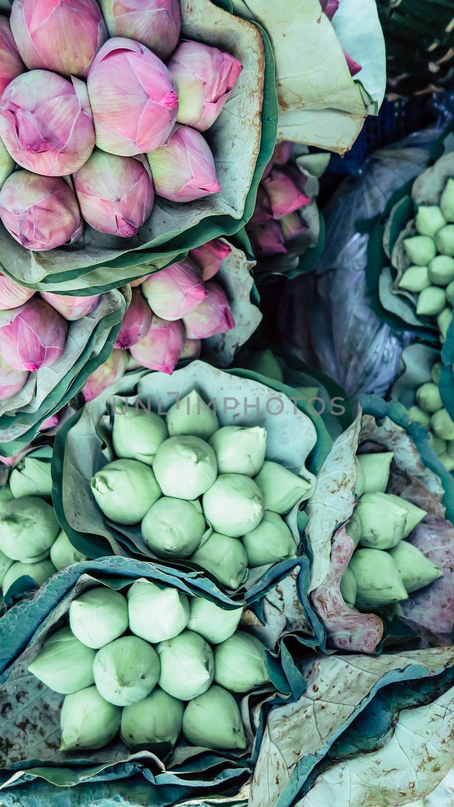 Bouquet of lotus flowers background by ponsulak