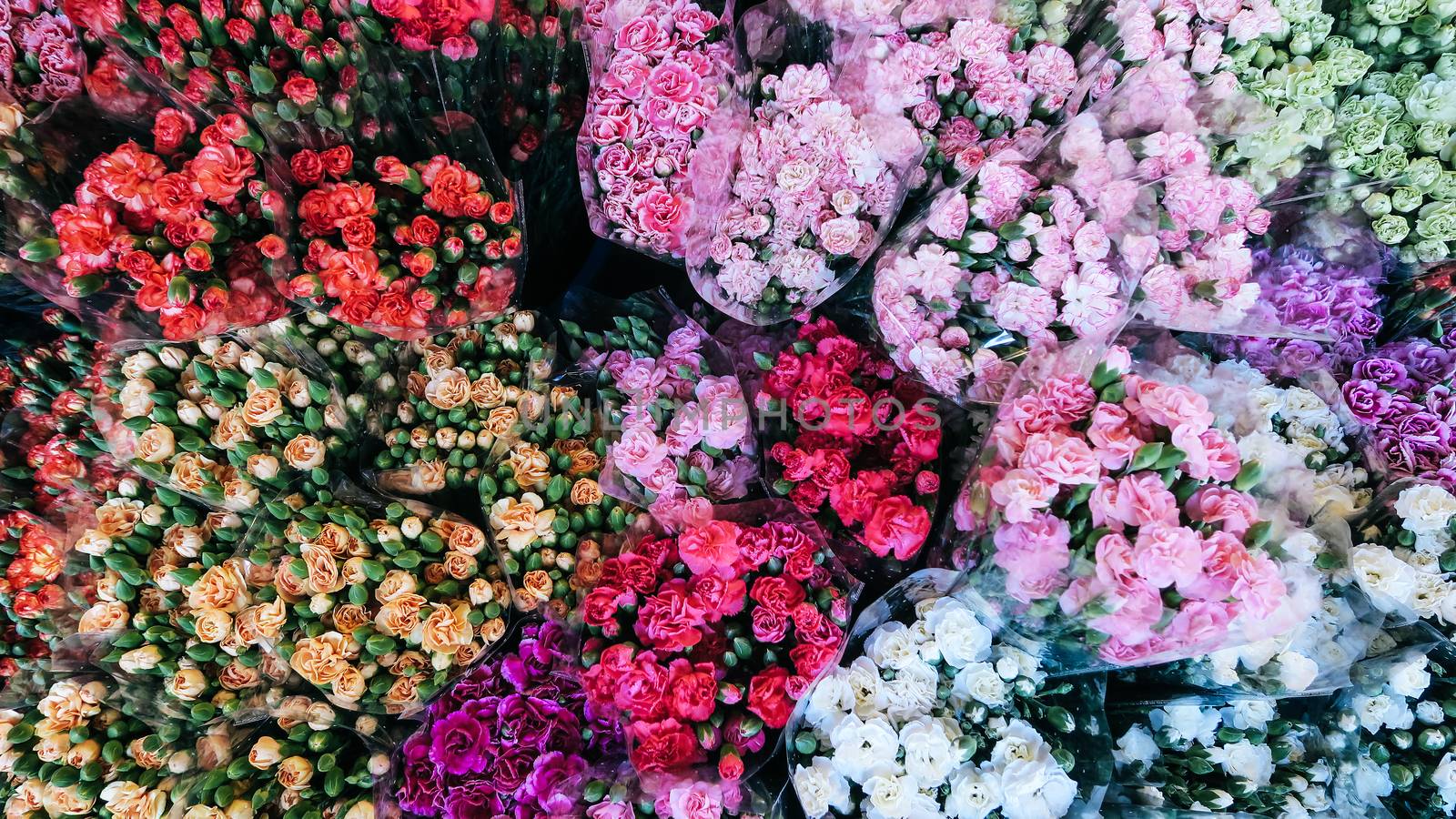 image of Bouquet of flowers background