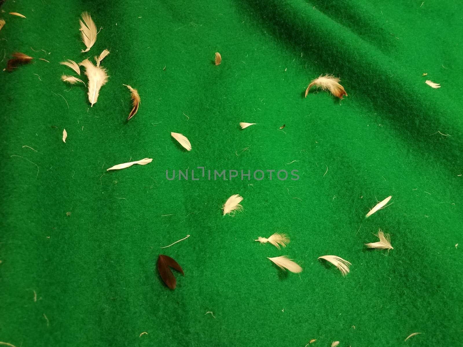 green fabric or textile with white feathers by stockphotofan1