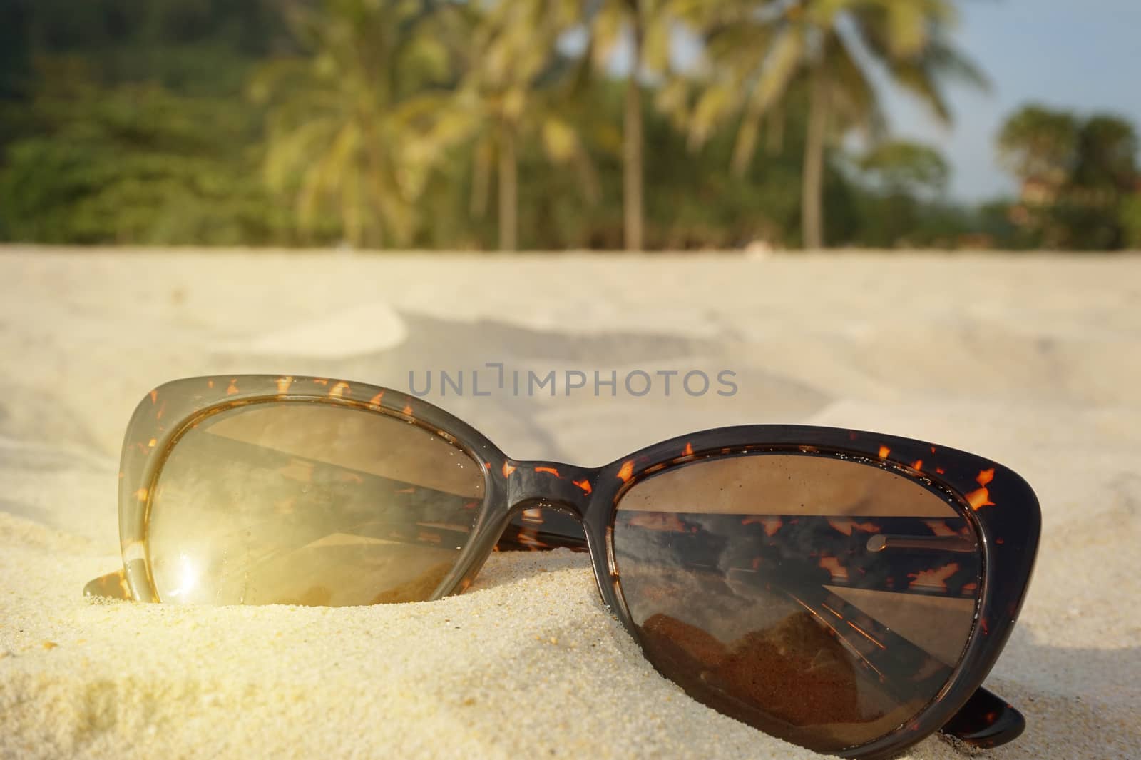 The concept of beach holidays and travel. Brown sunglasses on the sand on the beach, sunlight, place for text.