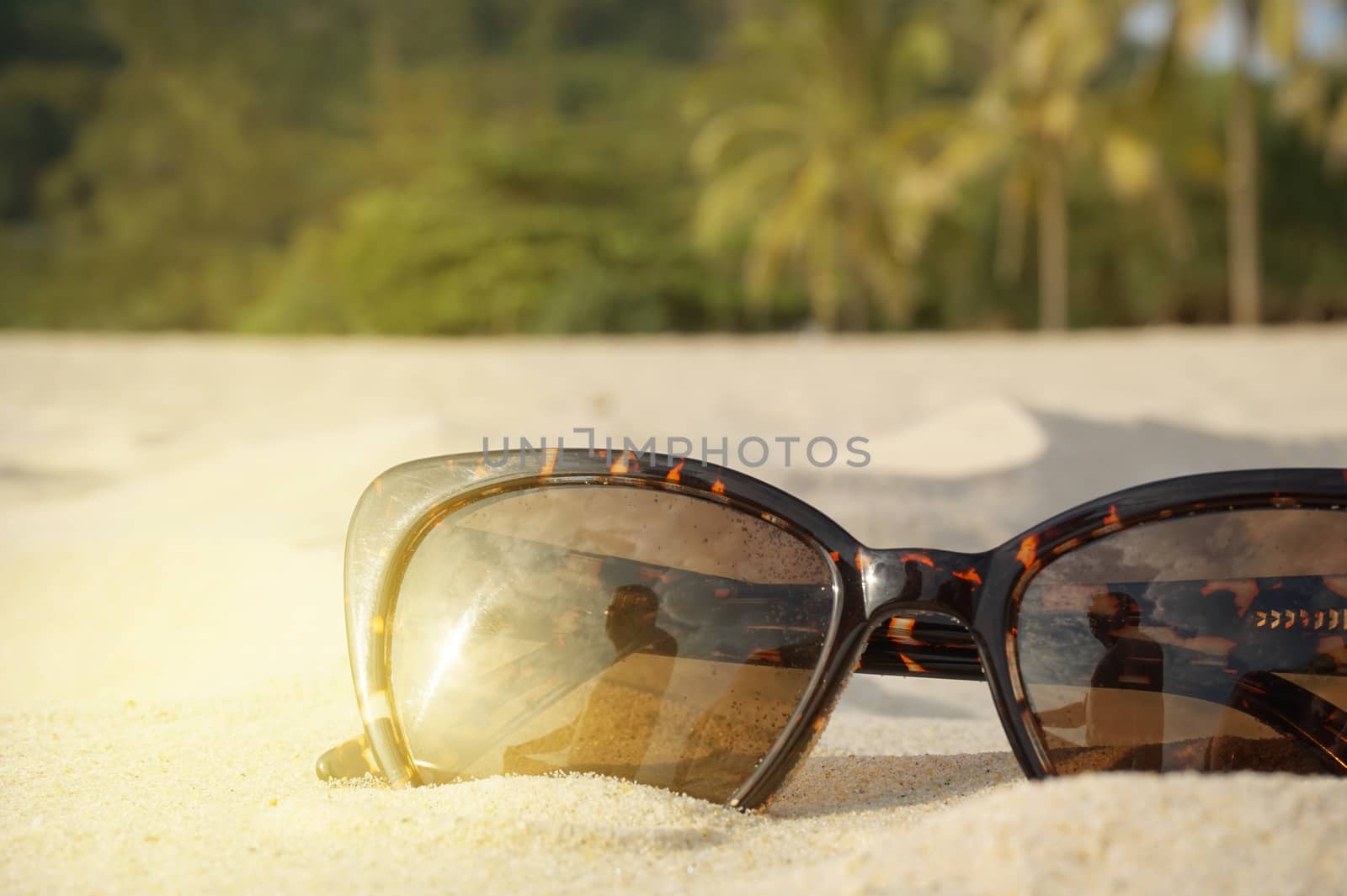 The concept of beach holidays and travel. Brown sunglasses on the sand on the beach, sunlight, place for text.