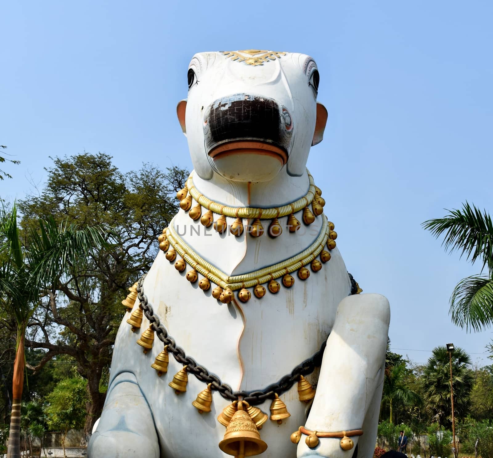 Nandi-Companion of Lard Siva