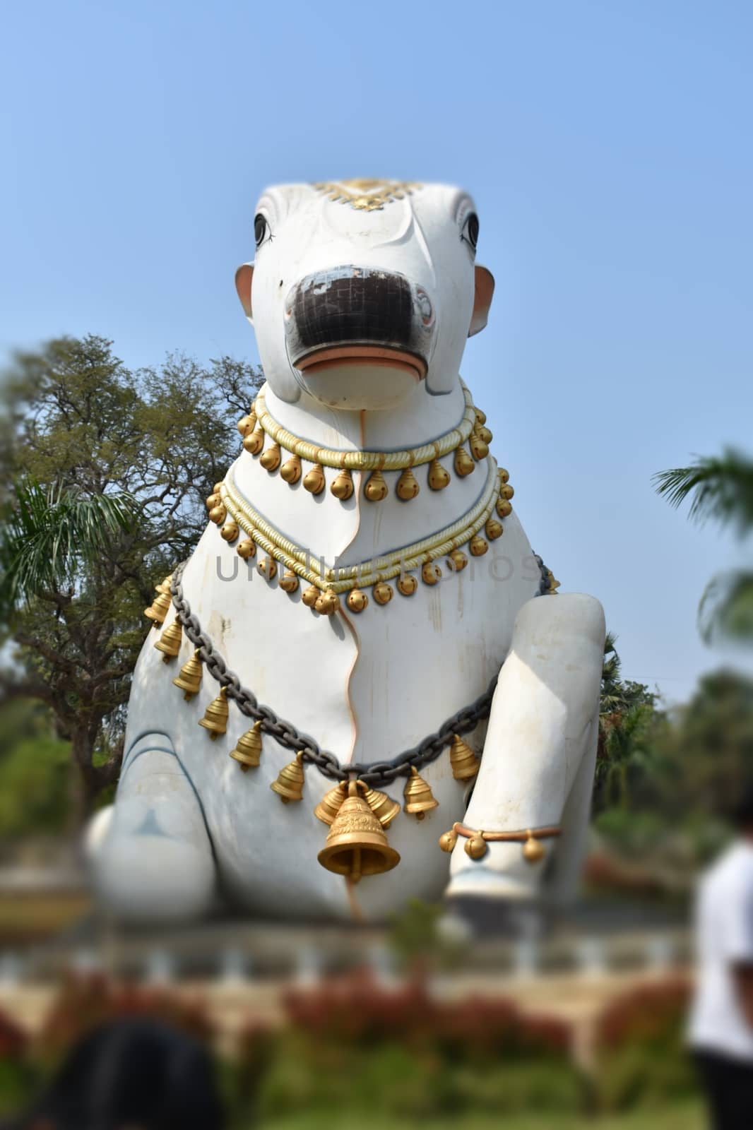 Nandi-Companion of Lard Siva by ravindrabhu165165@gmail.com