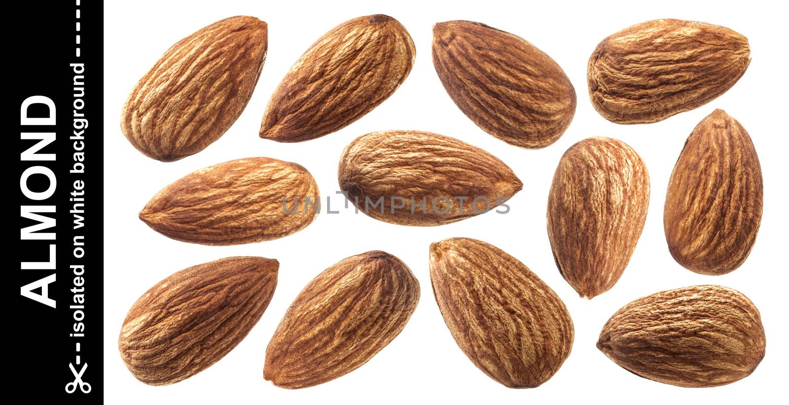 Raw almond isolated on white background with clipping path. Nuts collection.