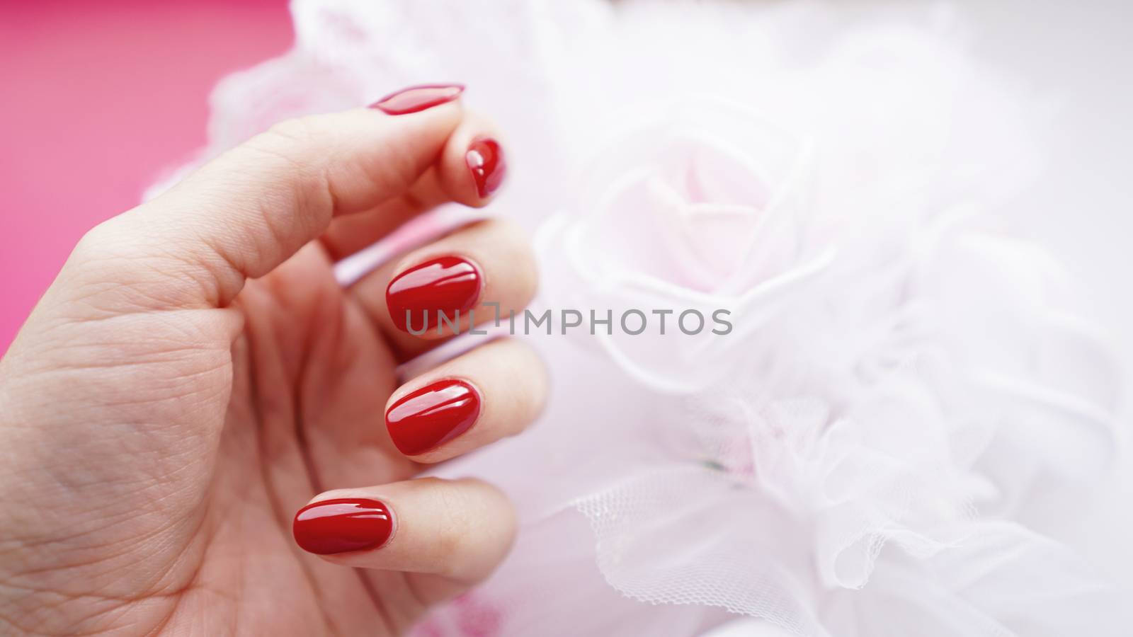 Beautiful female hand with red nails against the background of a white wedding bouquet