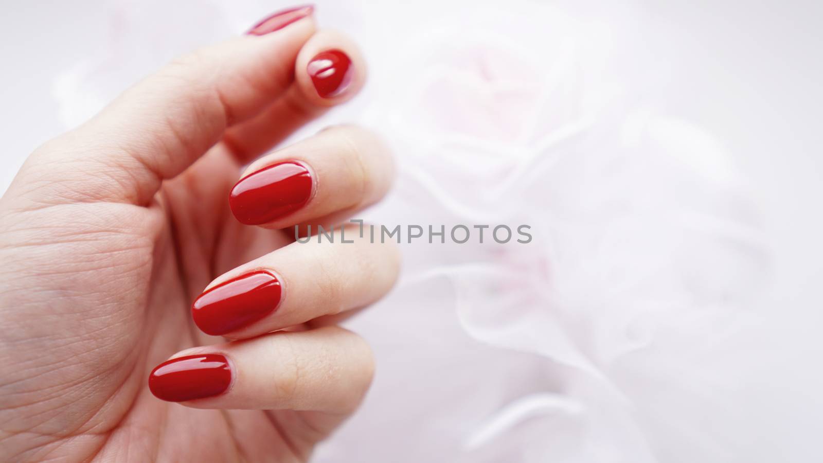 Beautiful female hand with red nails against the background of a wedding bouquet by natali_brill