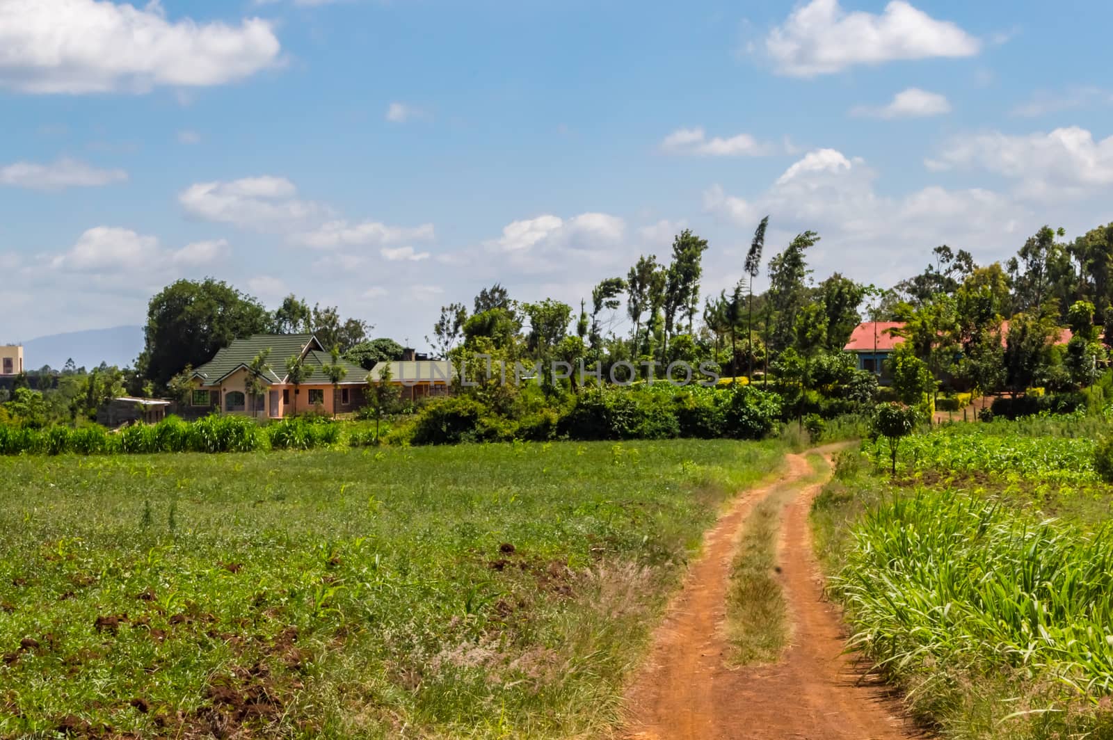 Houses at the end of a dirt road in the bush  by Philou1000