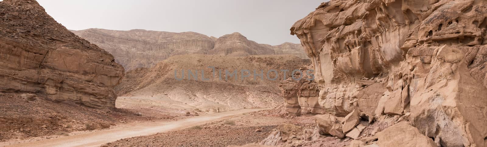 road in timna national park in south israel near eilat