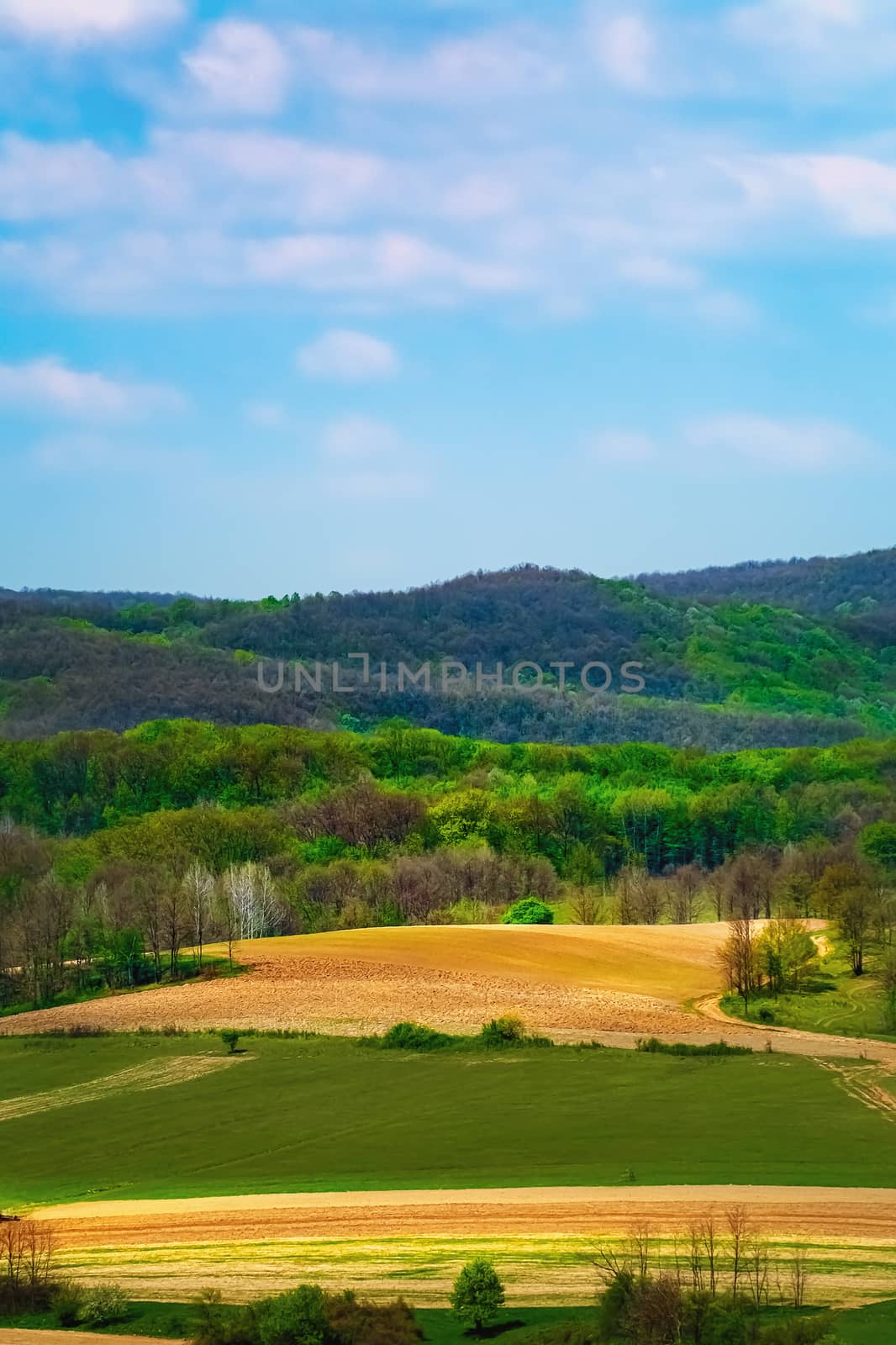 Agricultural fields in Carpathian mountains, Romania