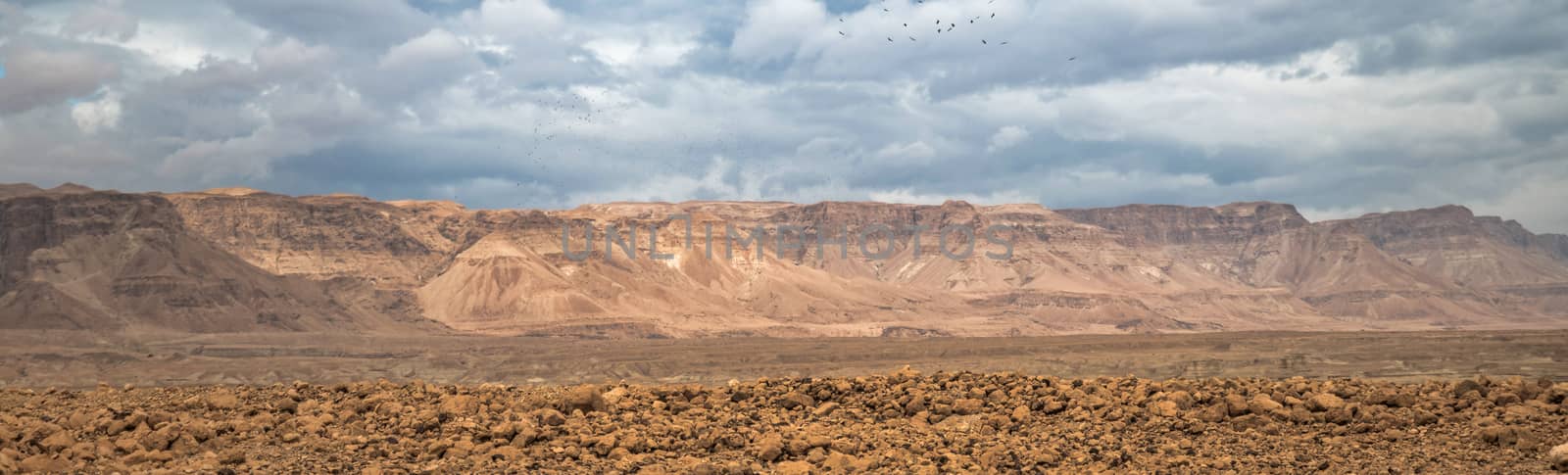 desert of israel near masada at the dead sea
