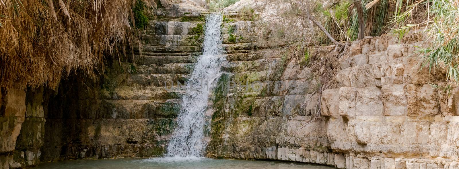 The Waterfall in national park Ein Gedi at the Dead Sea in israel