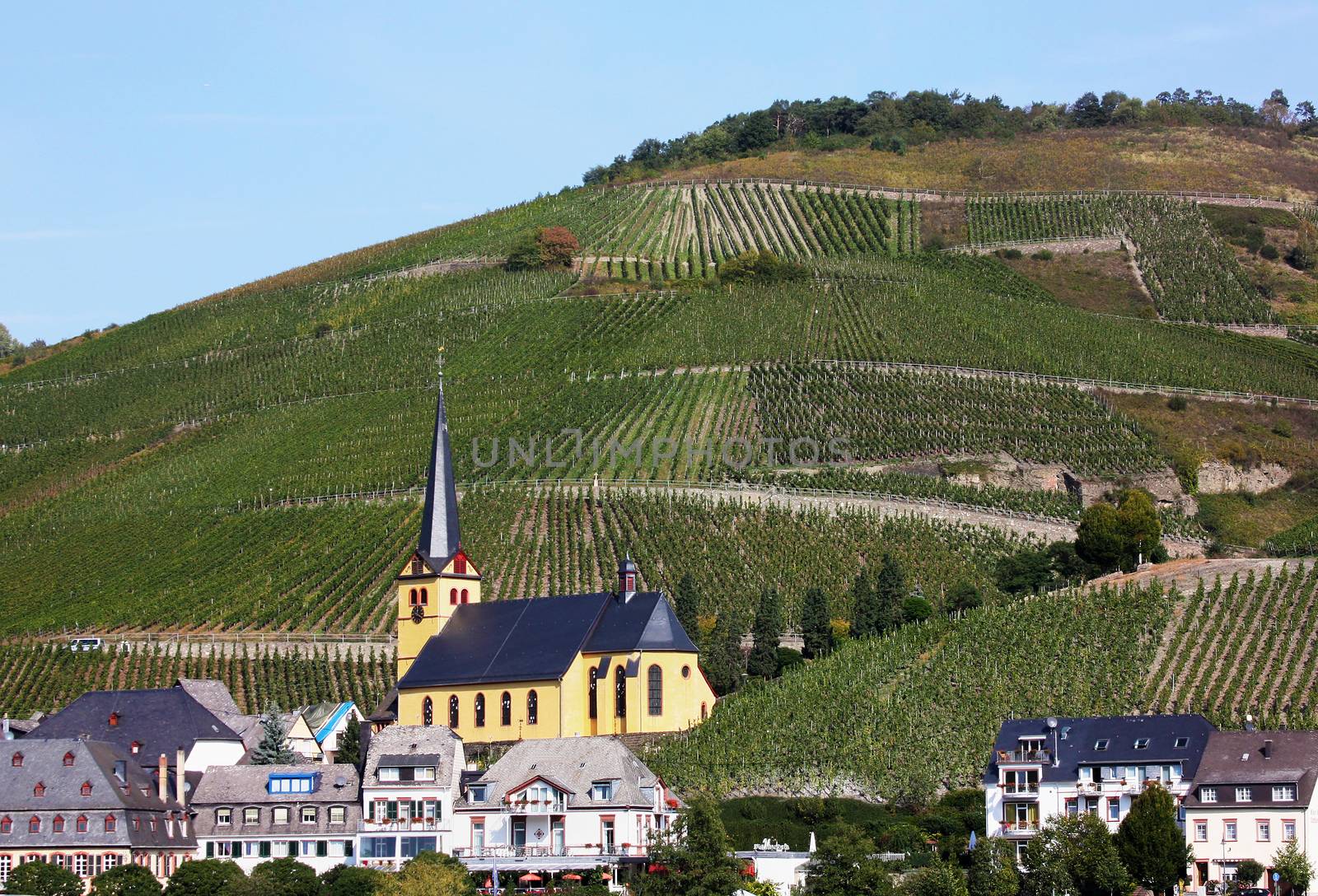 The Mosel valley is one of the most beautiful parts of Germany. On both sides of the river, romantic castles tower over endless vineyards, where excellent white grapes are grown
