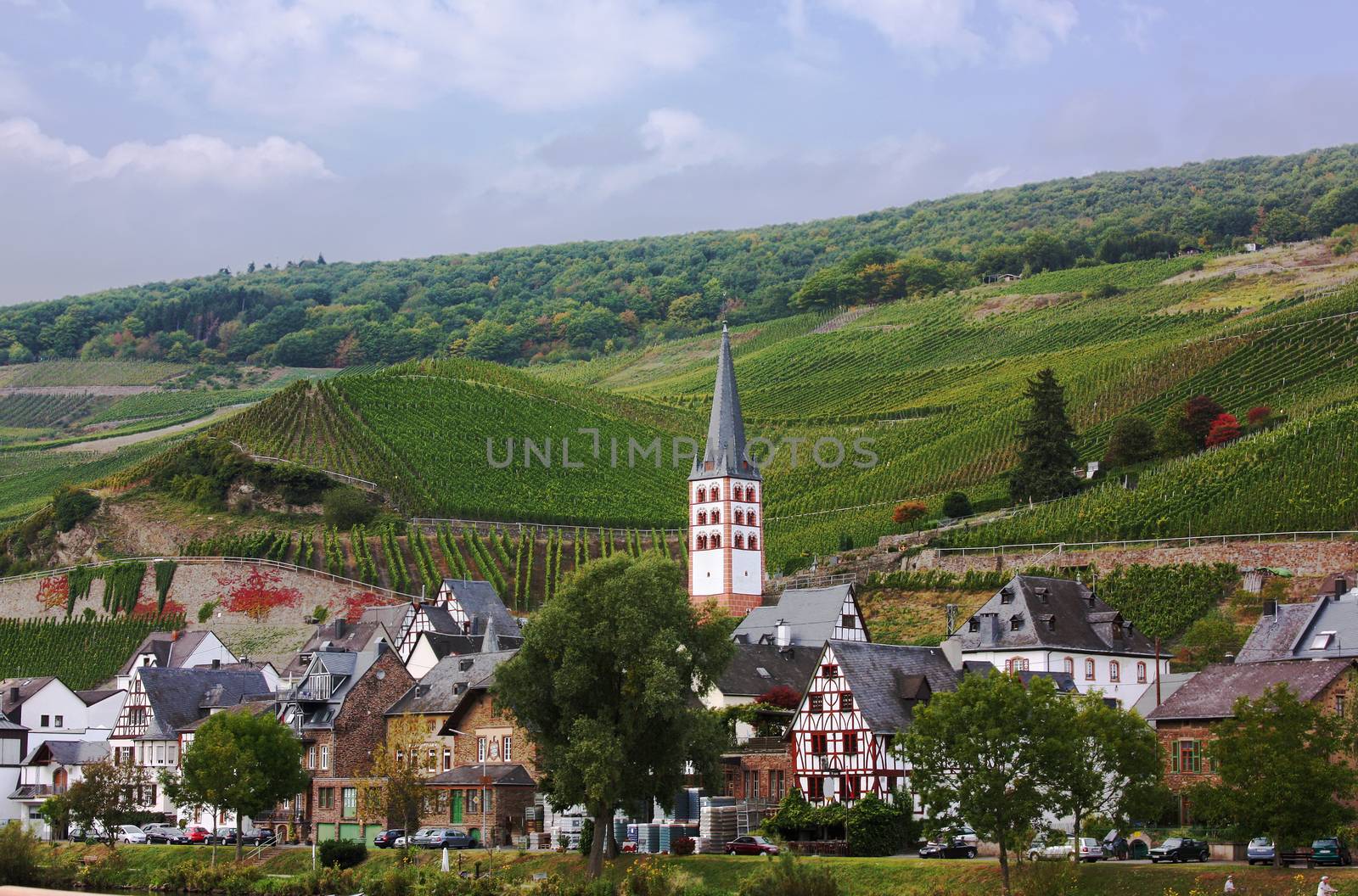 The Mosel valley is one of the most beautiful parts of Germany. On both sides of the river, romantic castles tower over endless vineyards, where excellent white grapes are grown