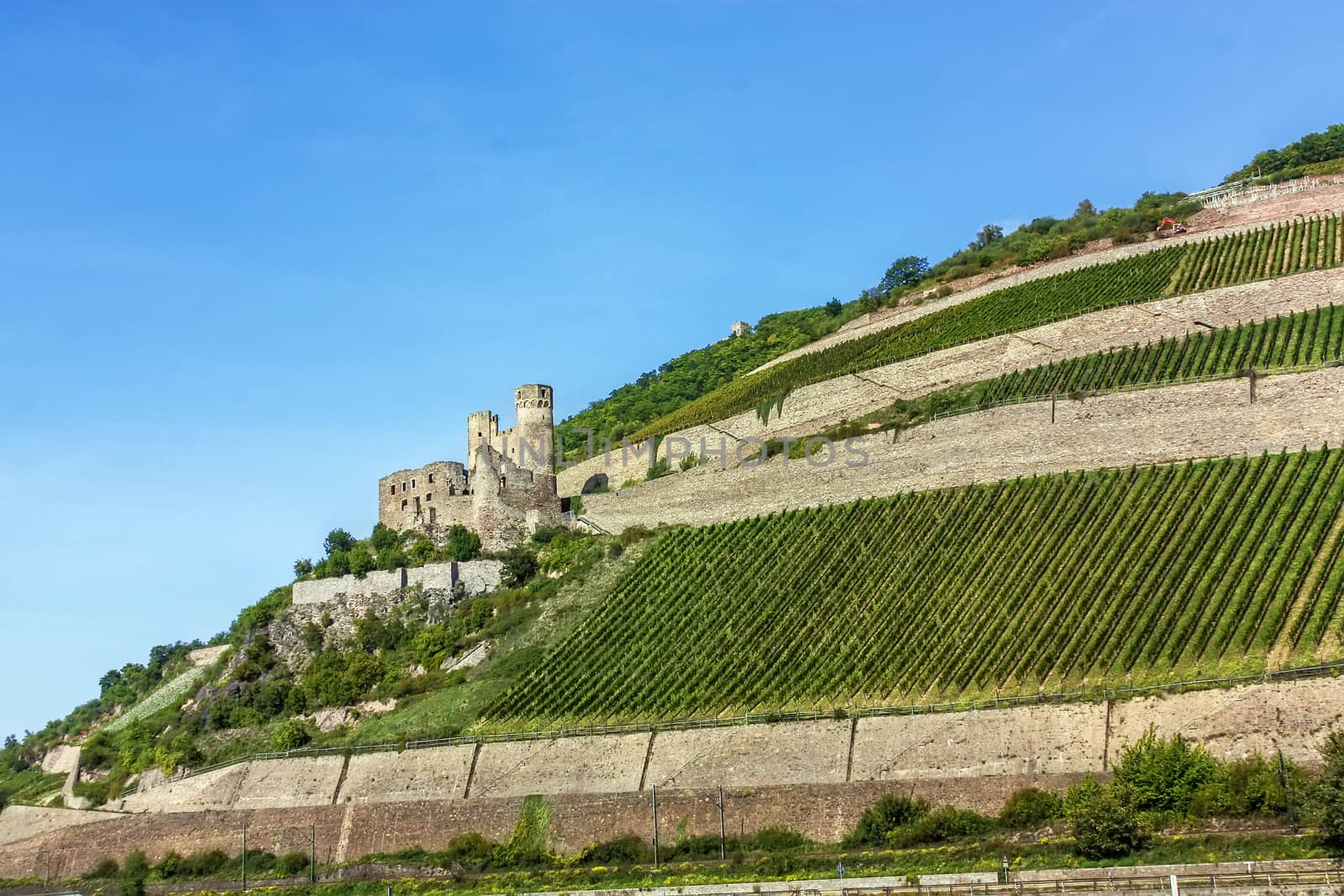 The Rhine valley is one of the most beautiful parts of Germany. 