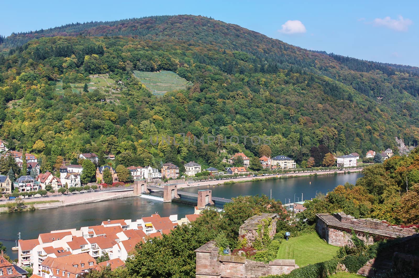 Kind on a valley of the river Nekar from the Heidelberg castle
