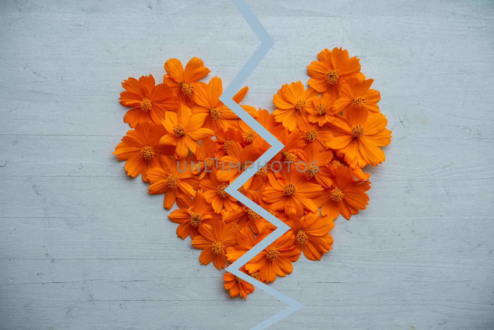 Broken heart made of orange cosmos  by szefei