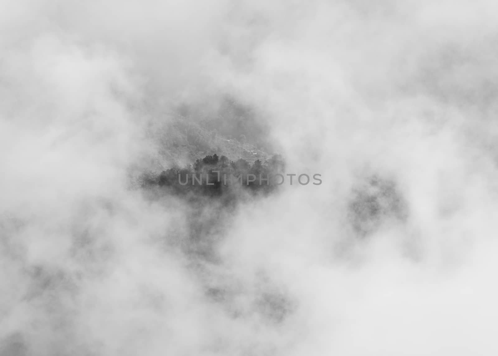 Trees on hilltop through clouds, black and white photography