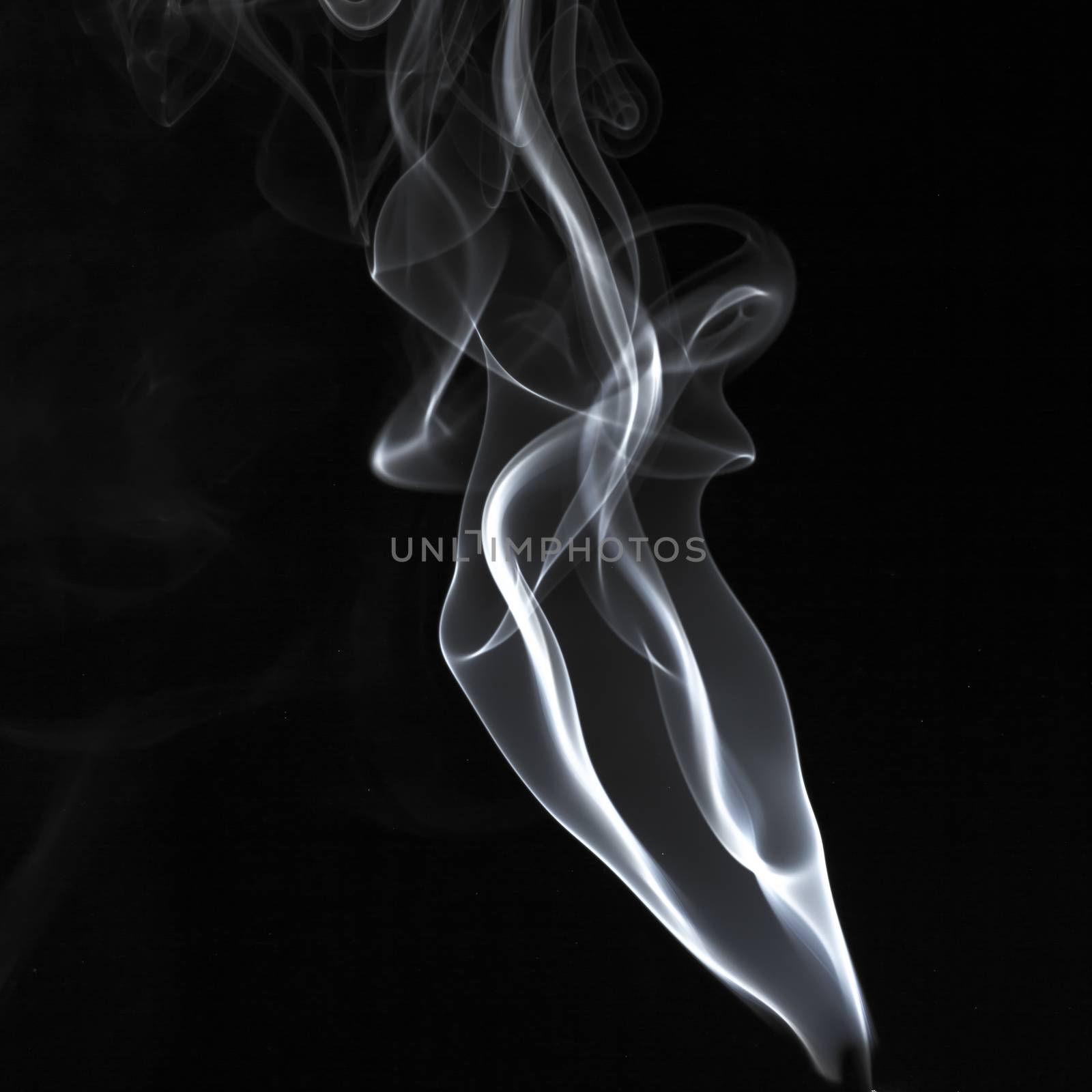 Abstract white smoke swirls over the black background