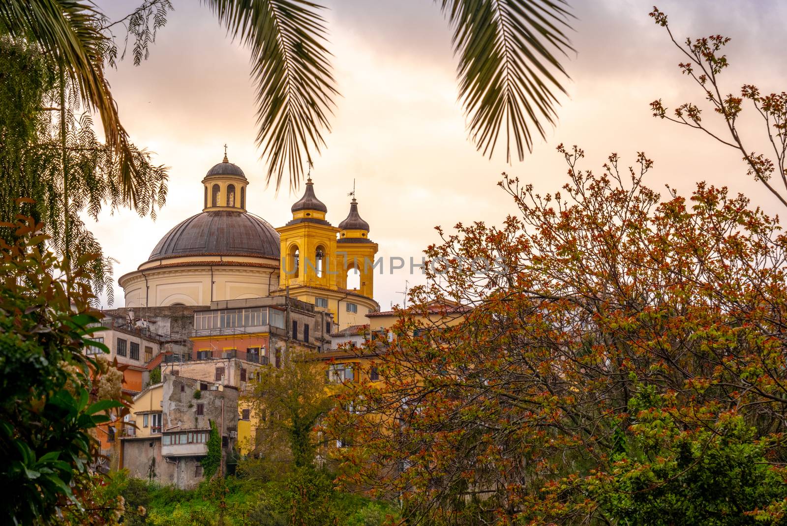 Ariccia - Rome suburb - Lazio - Italy Santa Maria church dome branches colorful sunset background .