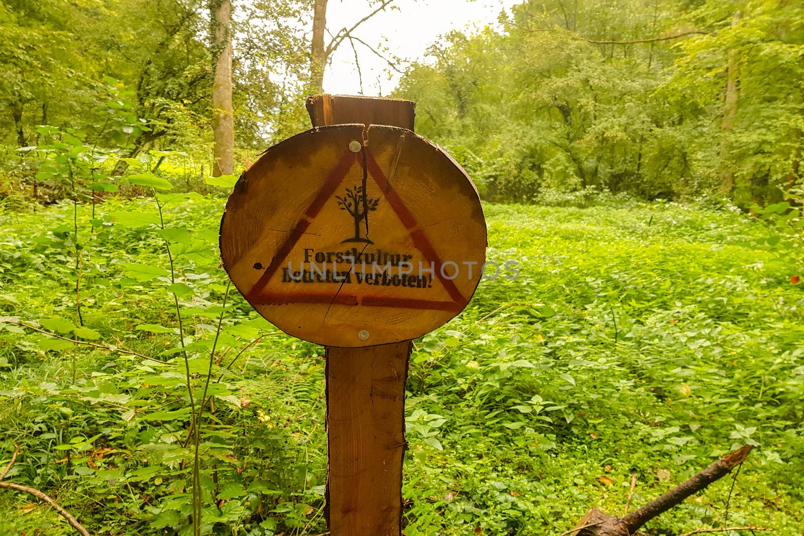   Wooden sign in the forest, nature reserve by JFsPic