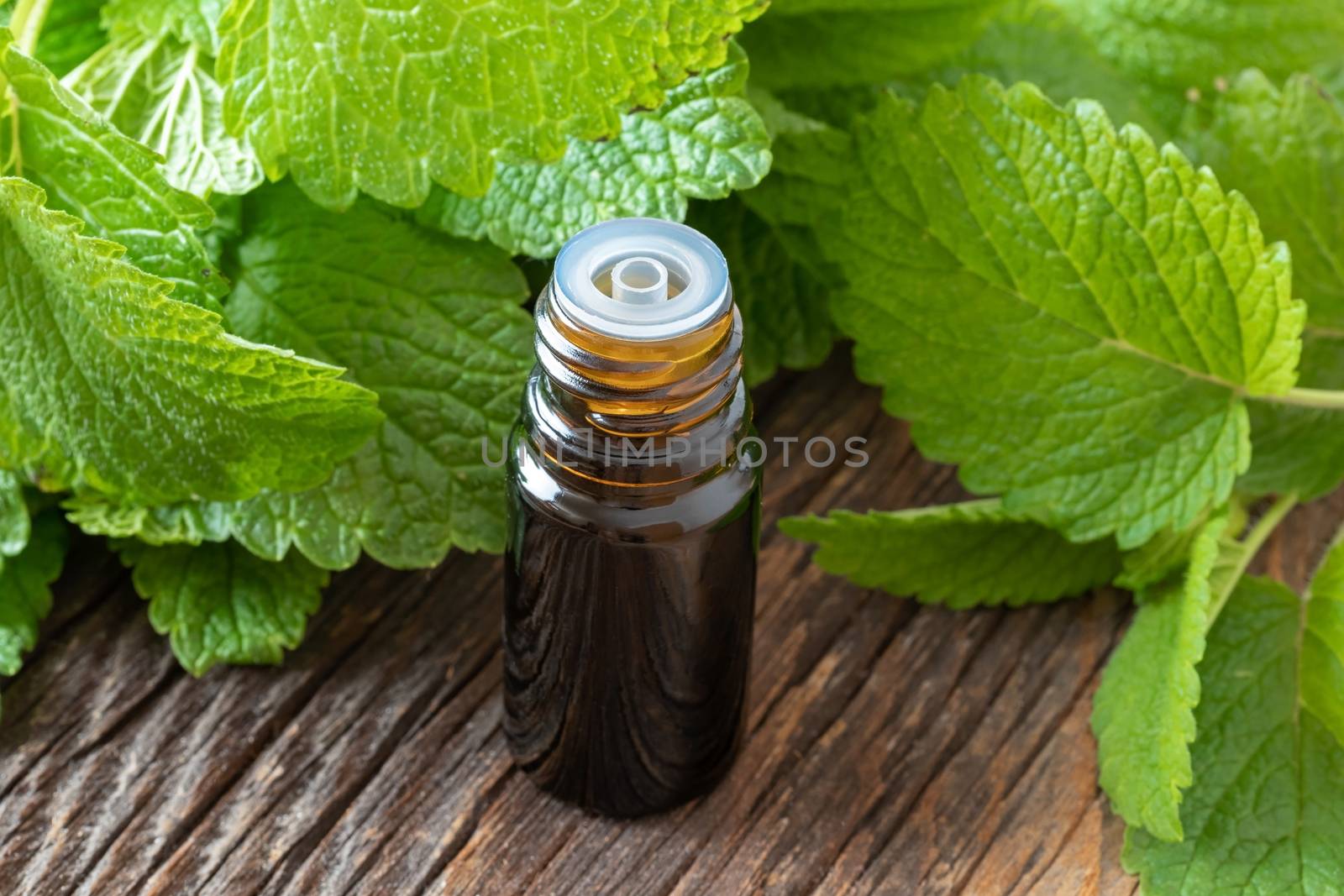 A bottle of essential oil with fresh melissa twigs