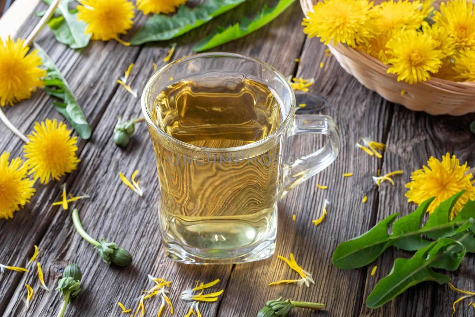 A cup of herbal tea with fresh dandelion flowers and leaves