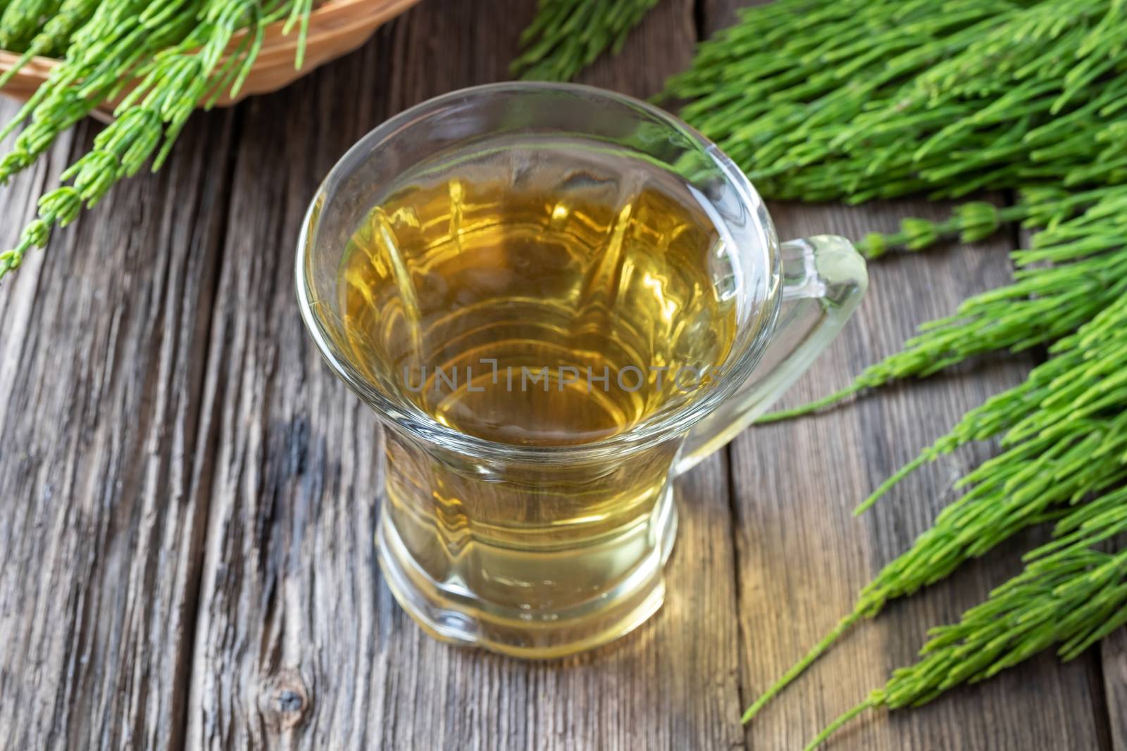A cup of herbal tea with fresh horsetail twigs