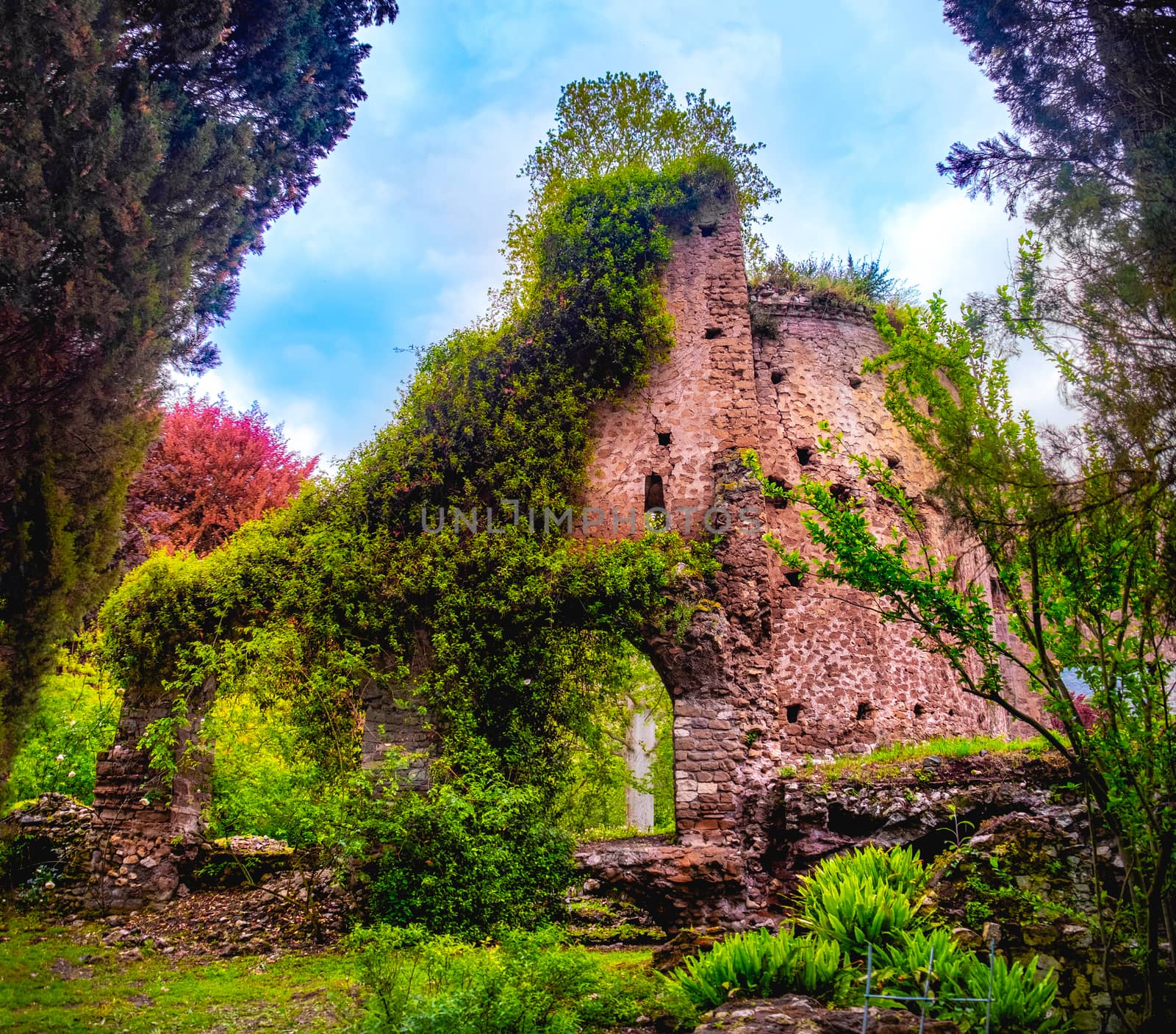 colourful ruins in Giardino della Ninfa gardens in Latina - Lazio - Italy .