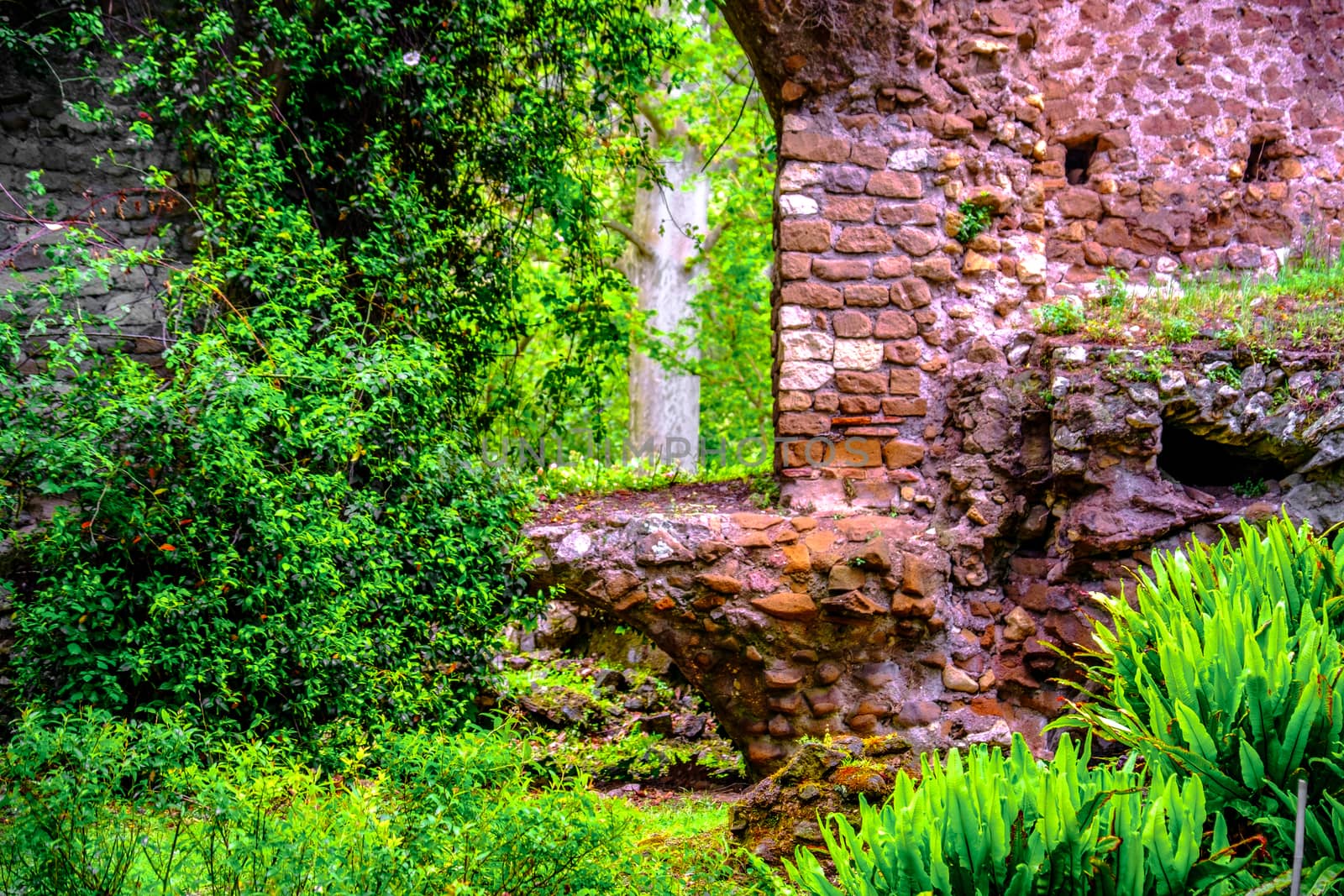 window brick ruins ivy plant background in Giardino della Ninfa gardens in Latina - Lazio - Italy
