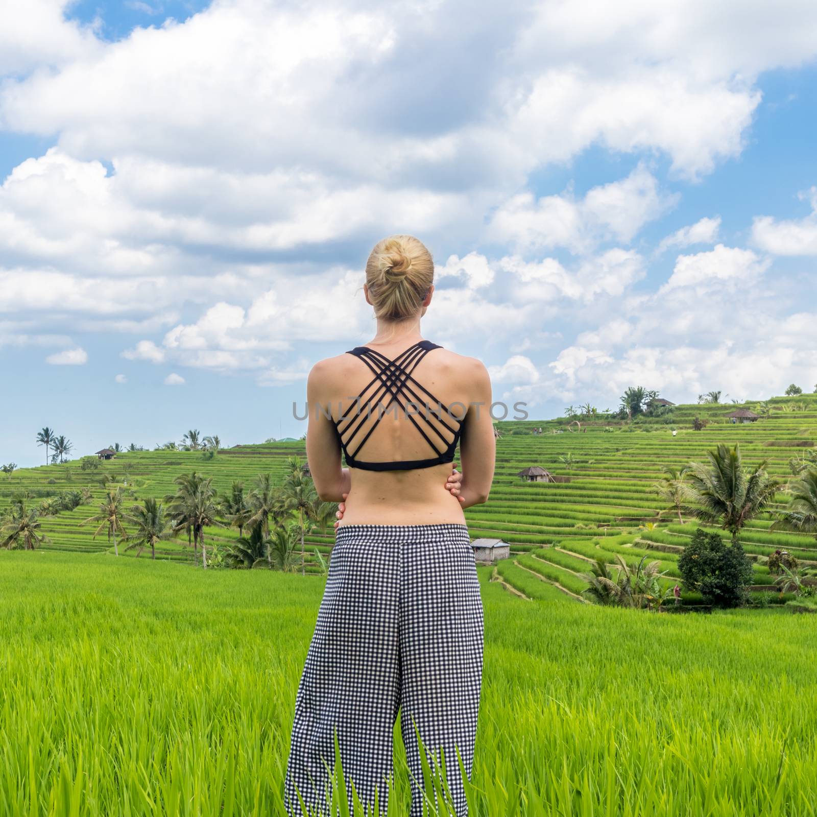 Relaxed casual sporty woman enjoying pure nature at beautiful green rice fields on Bali. by kasto