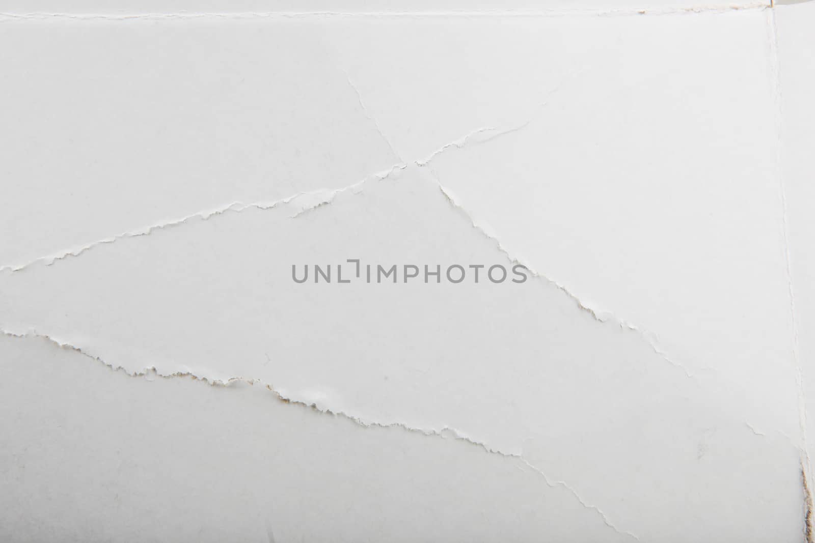 Close-Up Of White Cardboard Texture Background by nenovbrothers