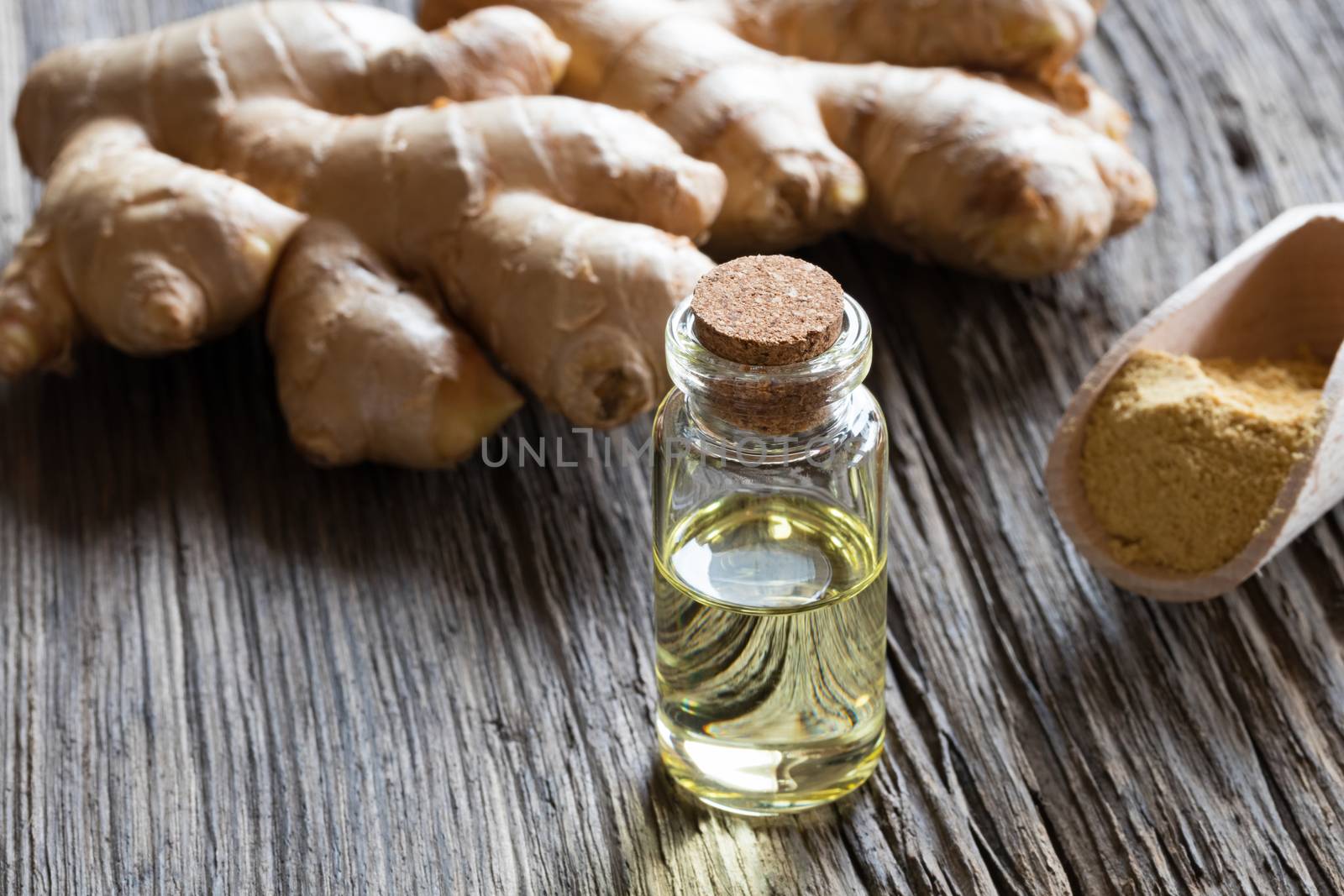 A bottle of ginger essential oil with ginger root and ground gin by madeleine_steinbach