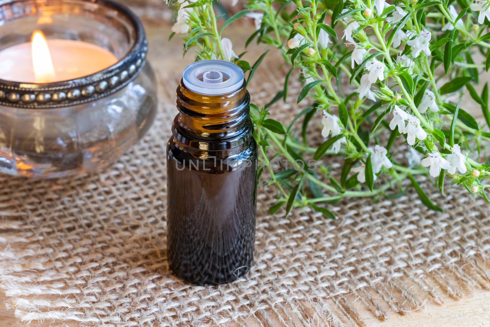 A bottle of mountain savory essential oil with fresh blooming Satureja montana twigs
