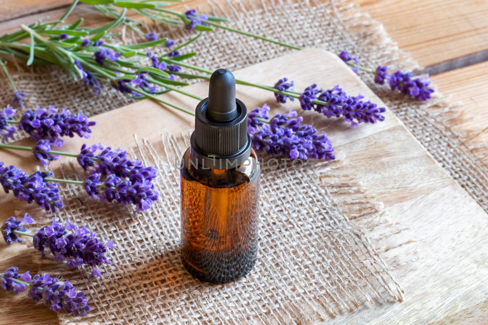 A bottle of lavender essential oil with fresh blooming lavender by madeleine_steinbach