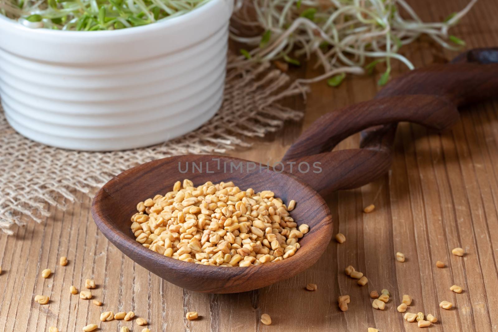 Fenugreek seeds on a spoon and sprouts in the background by madeleine_steinbach