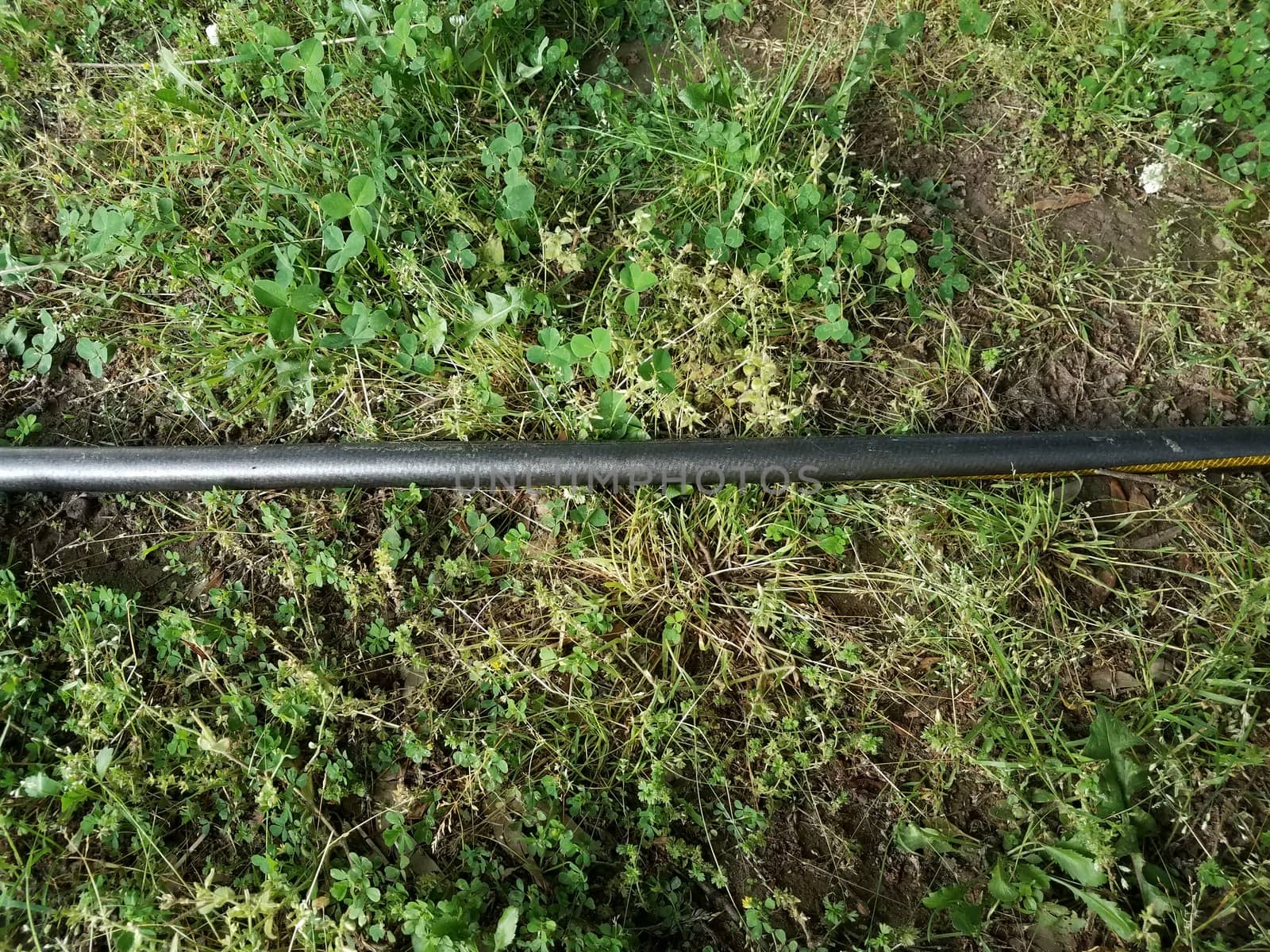 black garden hose on green grass or lawn or yard