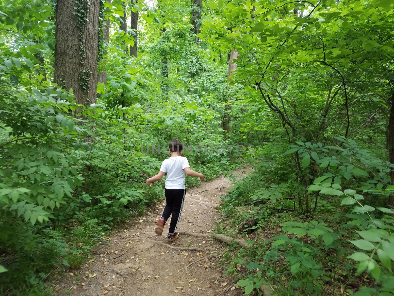 boy child walking on trail in woods or forest by stockphotofan1