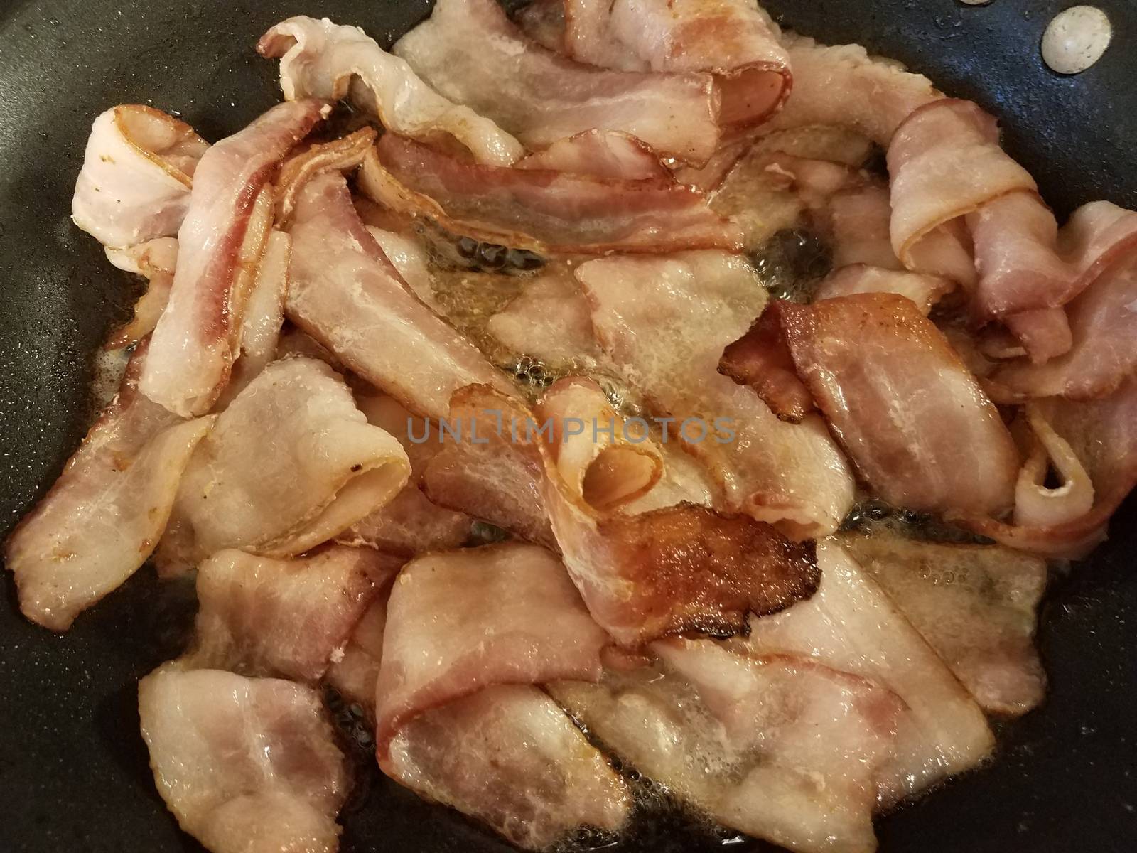 greasy bacon cooking in frying pan or skillet on stove