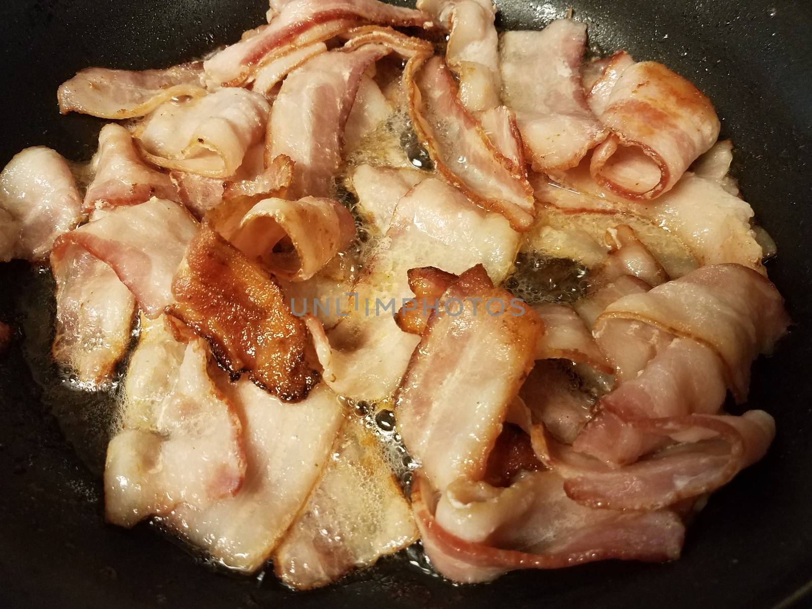 greasy bacon cooking in frying pan or skillet on stove