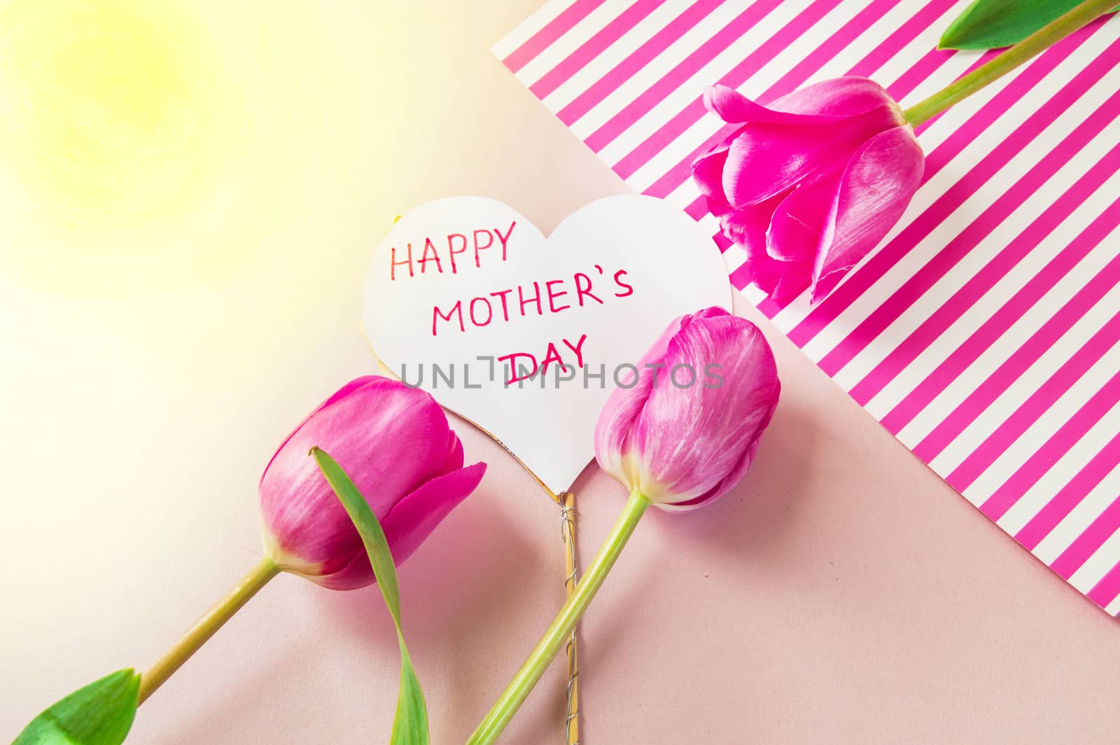 Flat lay composition with flowers and heart for mother's Day, greeting for women. Red tulips on pink background.