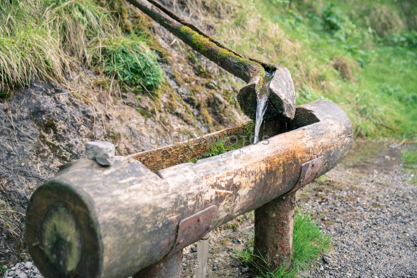 Natural raw unfiltered water flowing from wooden fountain by Robertobinetti70