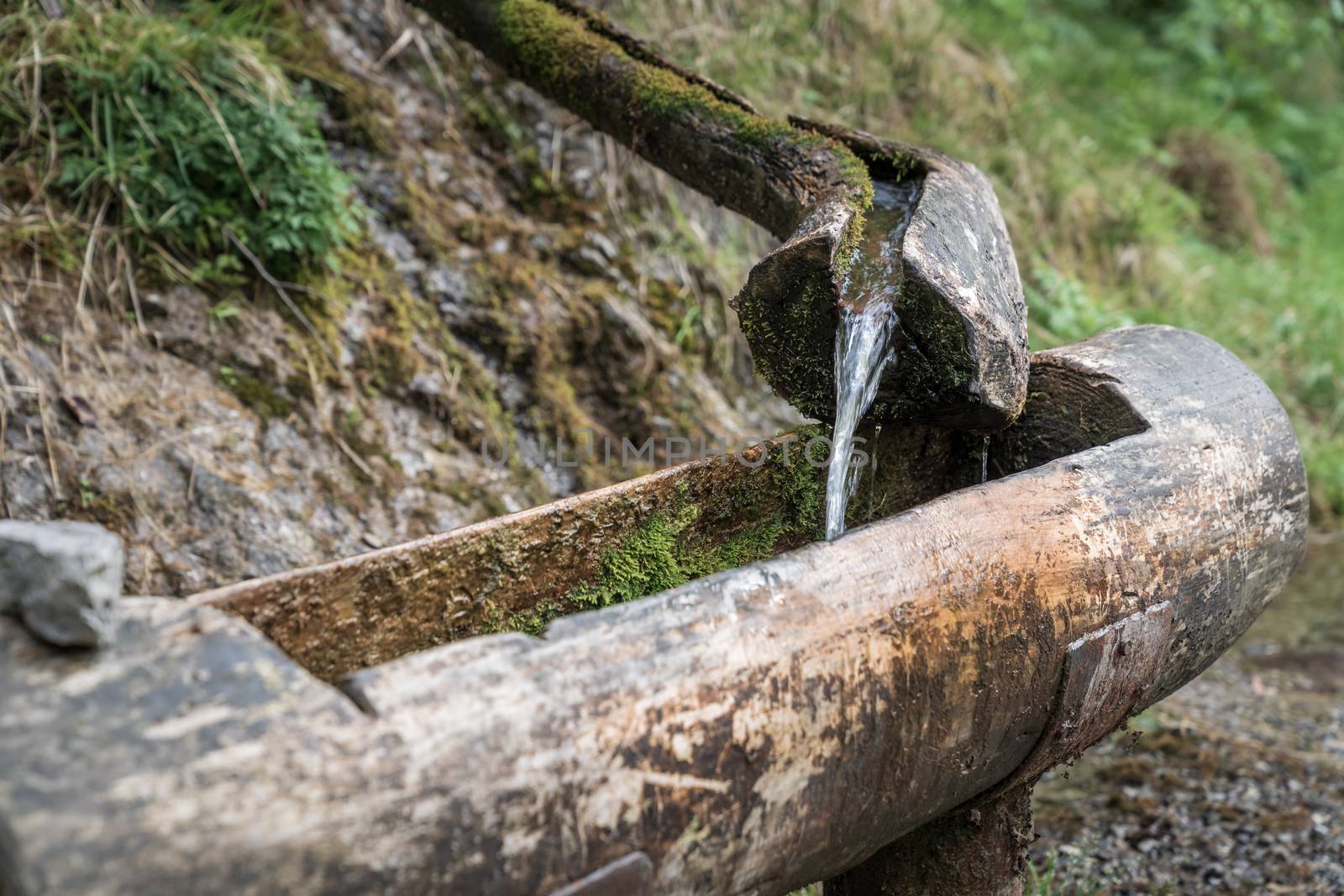 Natural water flowing from wooden fountain at Vertova torrent by Robertobinetti70