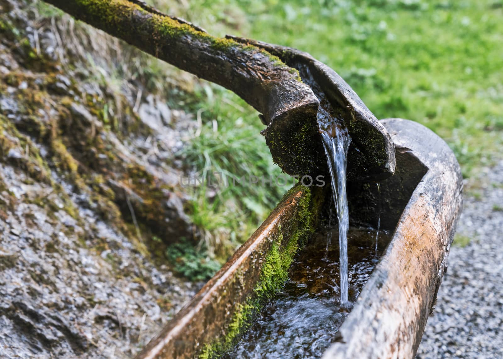 Natural raw unfiltered water flowing from wooden fountain spring at the Val Vertova torrent near Bergamo.Italy