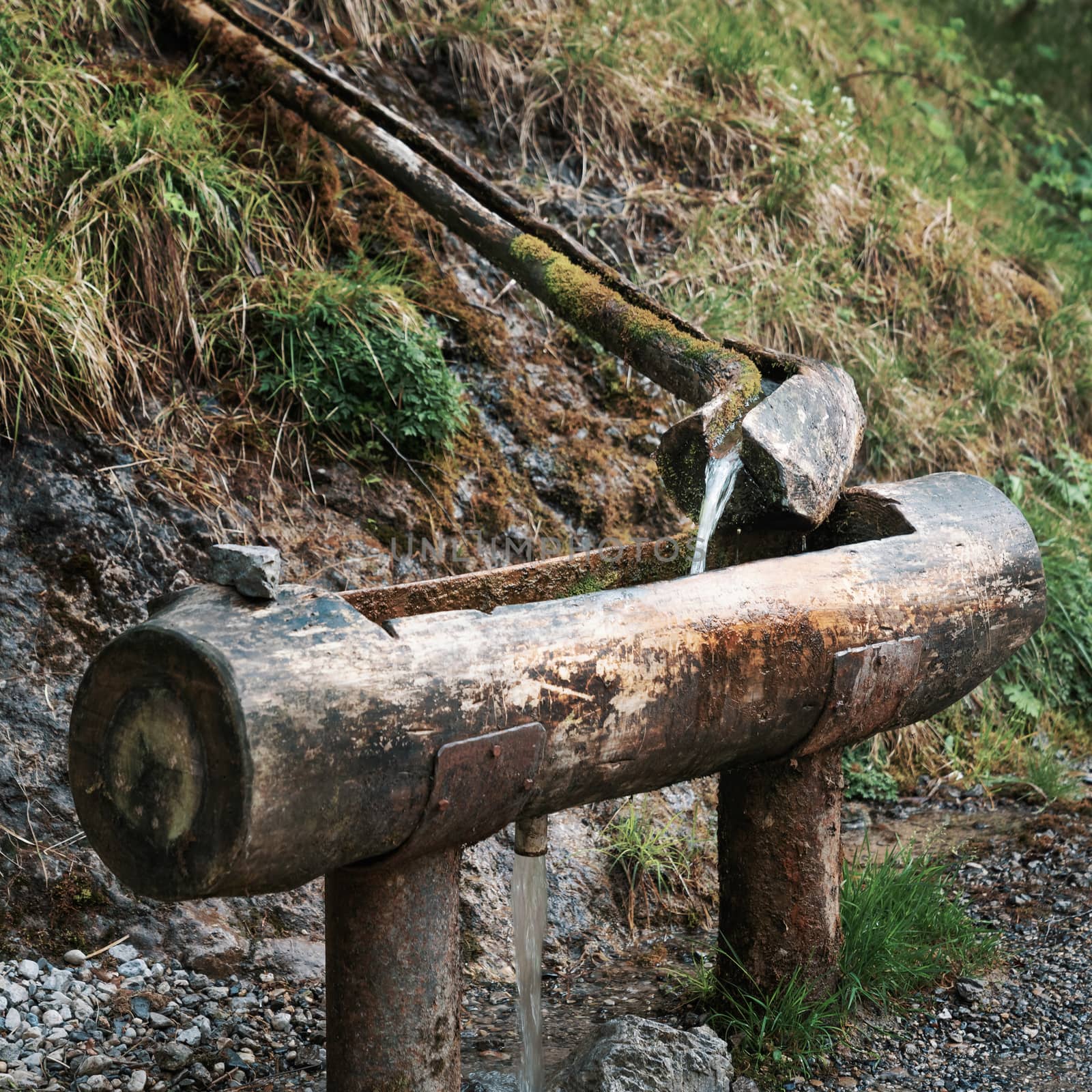 Natural raw unfiltered water flowing from wooden fountain spring at the Val Vertova torrent near Bergamo.Italy