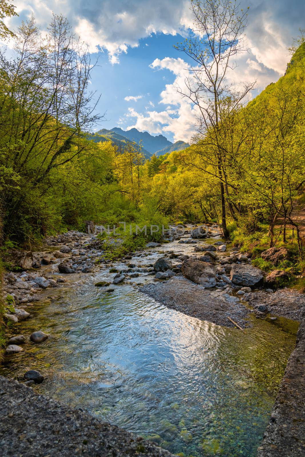 Wonderful view of the Vertova torrent at sunset, in the middle of the Orobiche mountains with its beautiful tiny waterfalls.