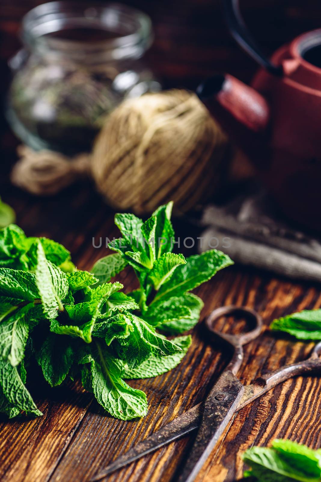 Bunch of Mint Bounded with Twine and Rusty Scissors on Wooden Surface. Vertical.