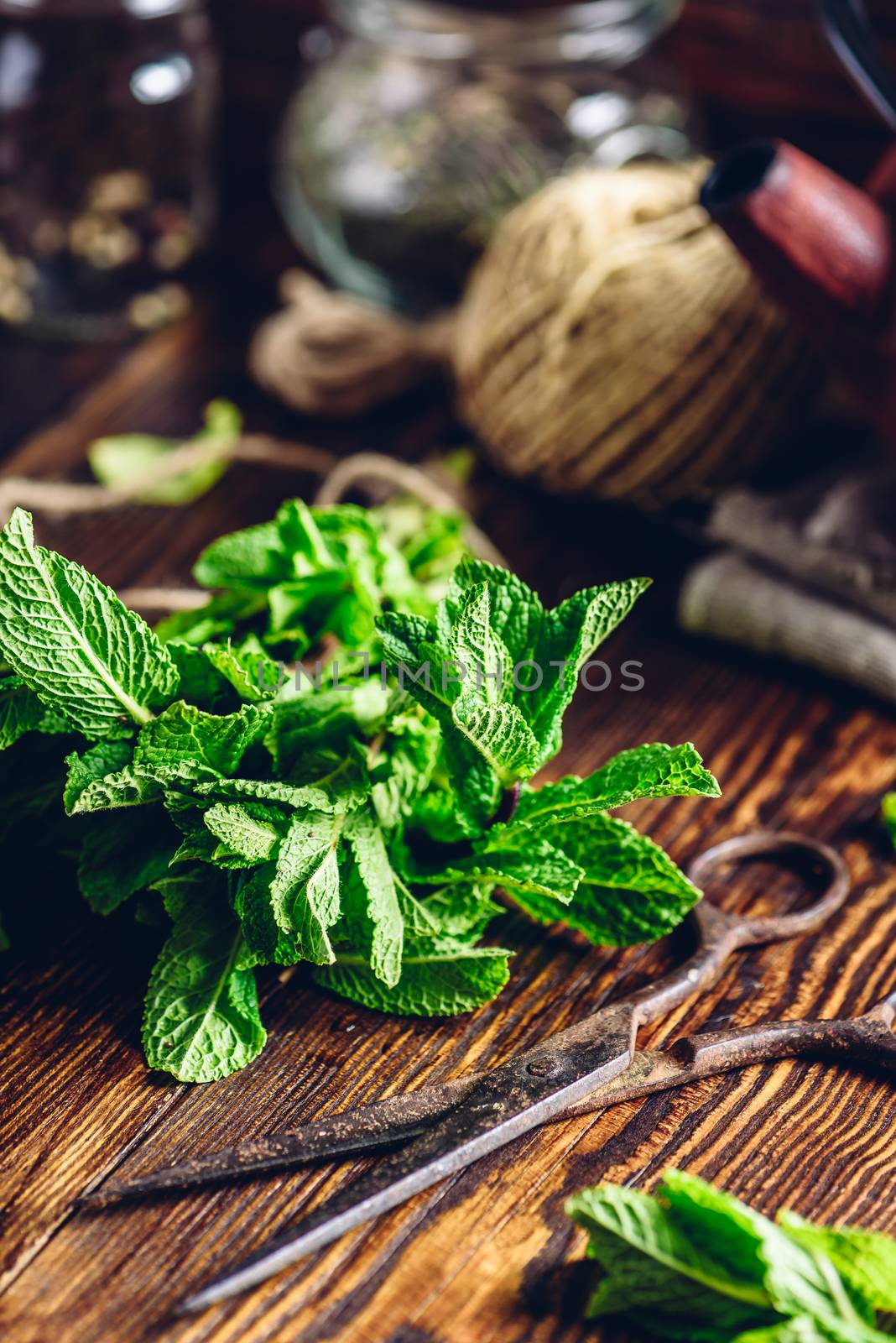 Bunch of Mint with Rusty Scissors. Tangle with Two Jars and Teapot on Backdrop. Vertical.