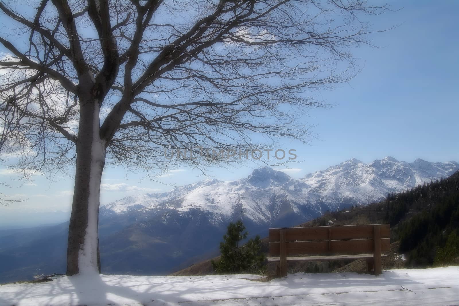 hoarfrost on a branch against blue sky in italy